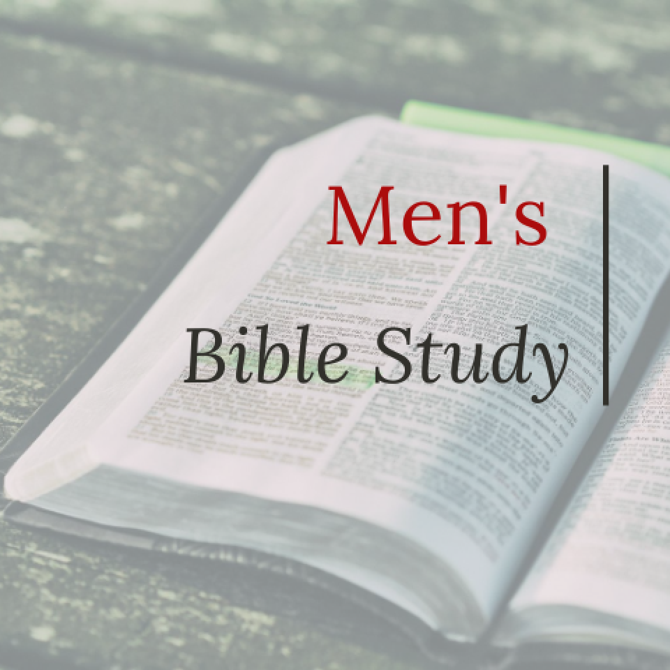 best bible study app for men