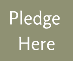 Image result for commitment campaign